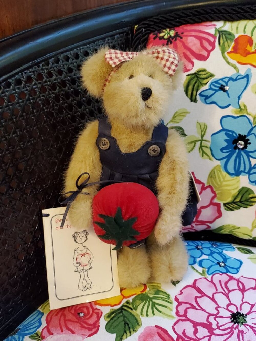 Boyds Serendipity Wishkabibble and The Giant Tomato Bear #90501
